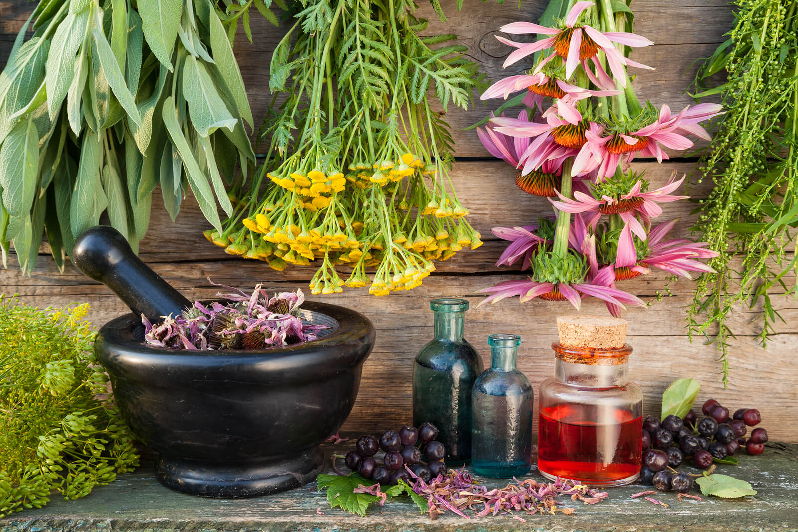 Dhatrilauha in iron deficiency anaemia of pregnancy: a classical Ayurvedic iron formulation for optimizing maternal haemoglobin status